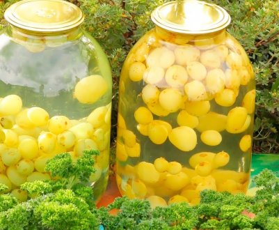 Як приготувати компот з білого винограду?