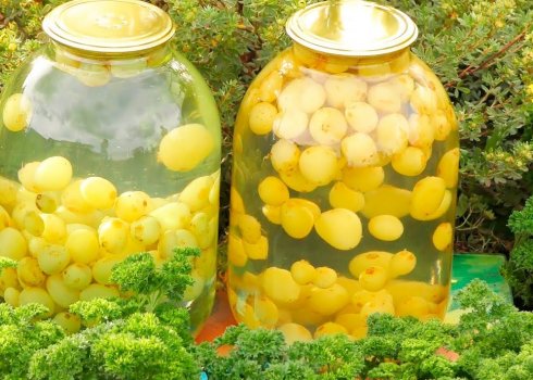 Як приготувати компот з білого винограду?