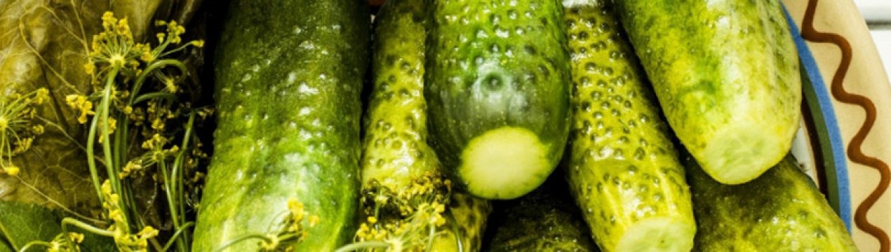 Засолювання огірків з гірчицею на зиму холодним способом