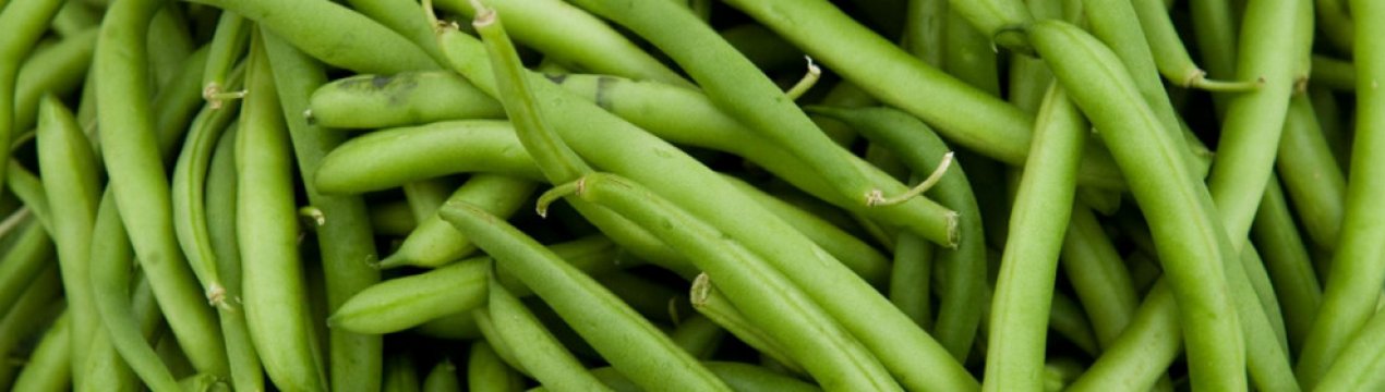 Смачні рецепти маринованої спаржевої квасолі на зиму