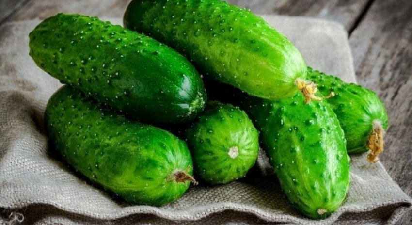 Огірки дебют Огірки дебют