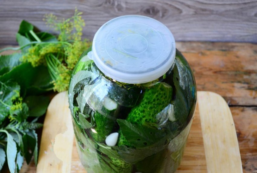 Засолювання огірків Засолювання огірків