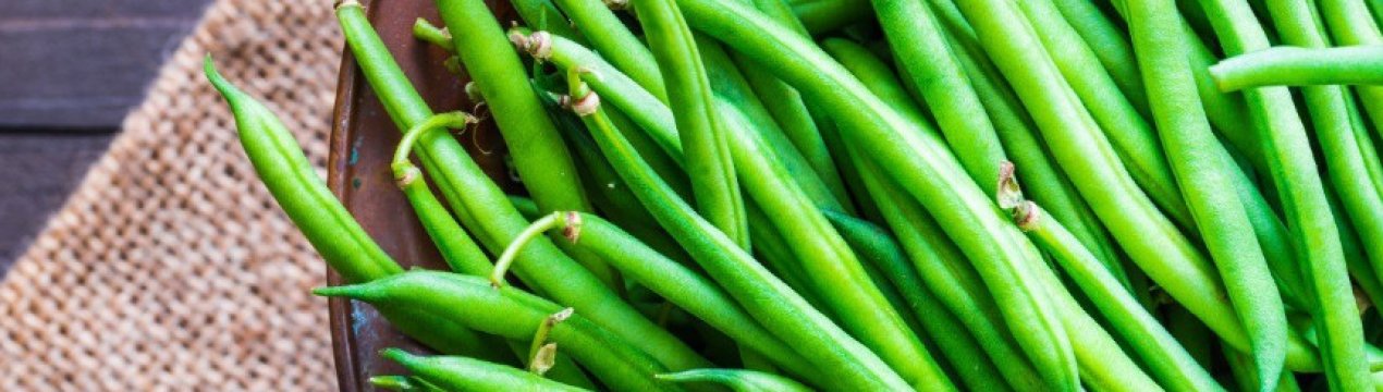 Застосування стручків квасолі в народній медицині