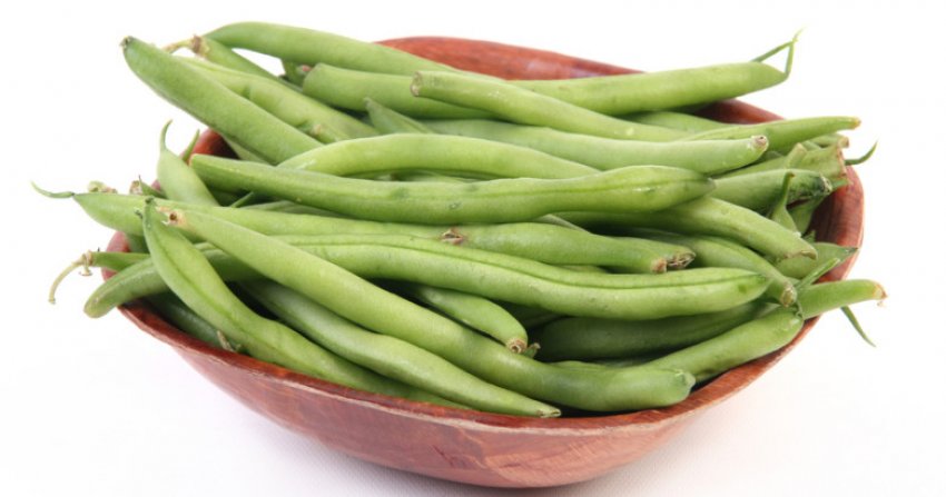 Стручкова квасоля Стручкова квасоля