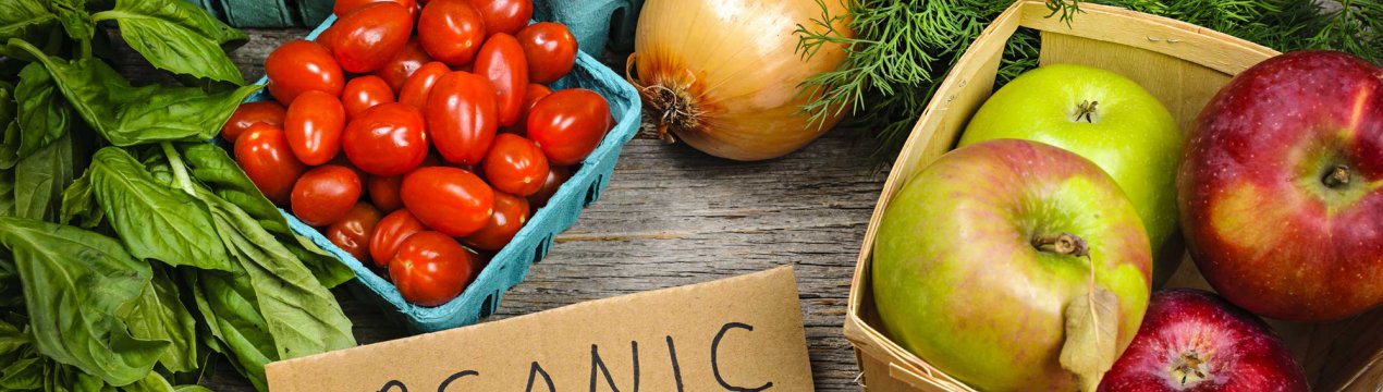 Українські студенти вийшли на стежку війни з ГМО та стимуляторами росту