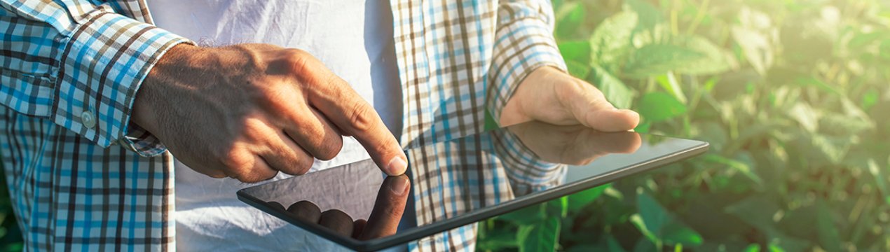 Привіт з космосу: про проблеми на полях фермерам буде повідомляти супутник