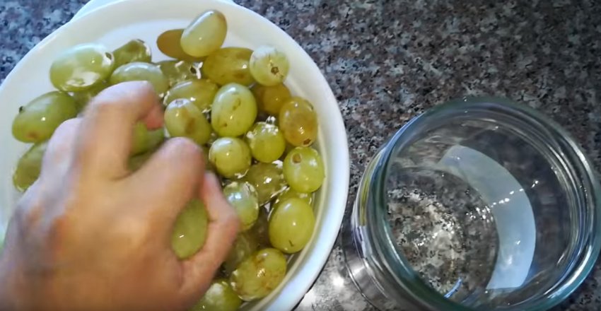 Маринованный черный виноград рецепты. 26670.phv7go.850. Маринованный черный виноград рецепты фото. Маринованный черный виноград рецепты-26670.phv7go.850. картинка Маринованный черный виноград рецепты. картинка 26670.phv7go.850. Хотите приготовить, что-то необычное и вкусное на зиму? Воспользуйтесь данным рецептом.
