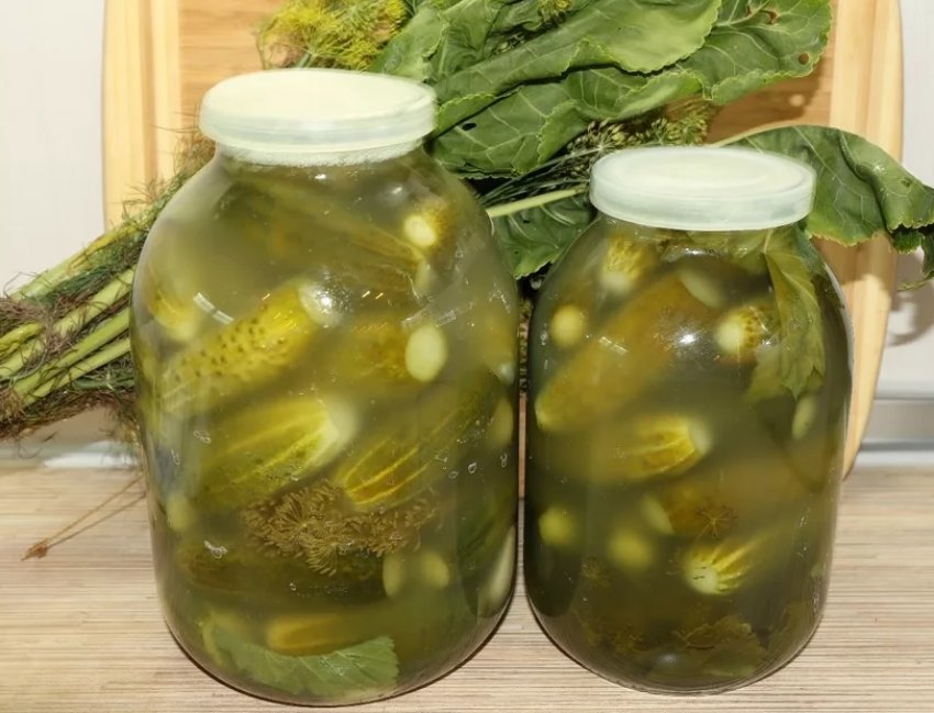 Квашені огірки