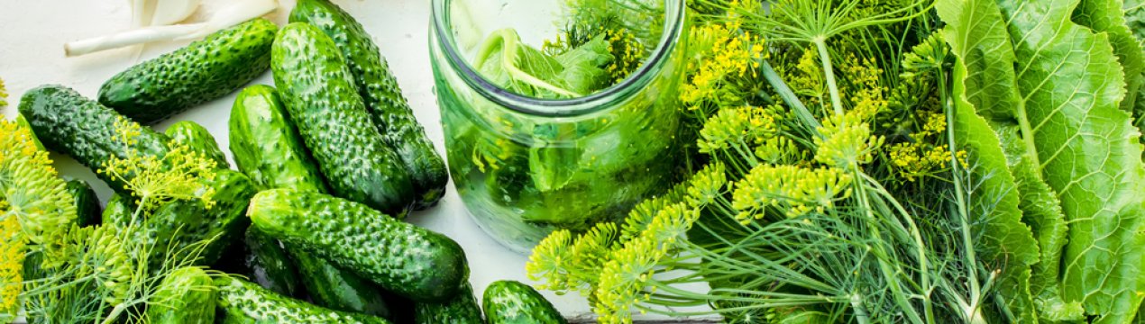 Як засолити огірки на зиму без стерилізації
