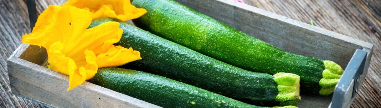 Як смачно засолити кабачки на зиму