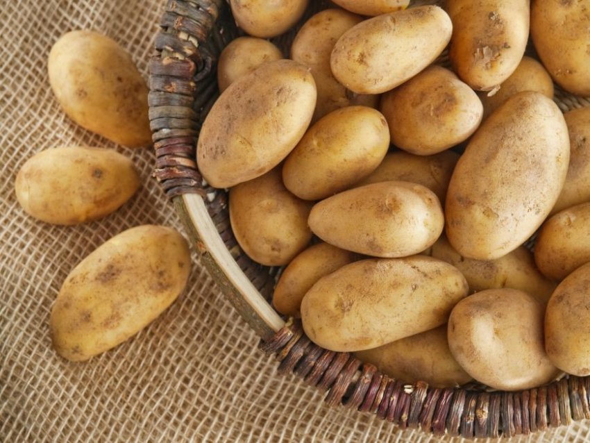 Возможные ошибки при хранении картофеля