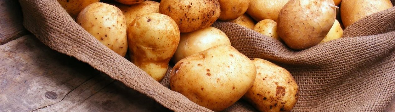 Особенности хранения картофеля в квартире