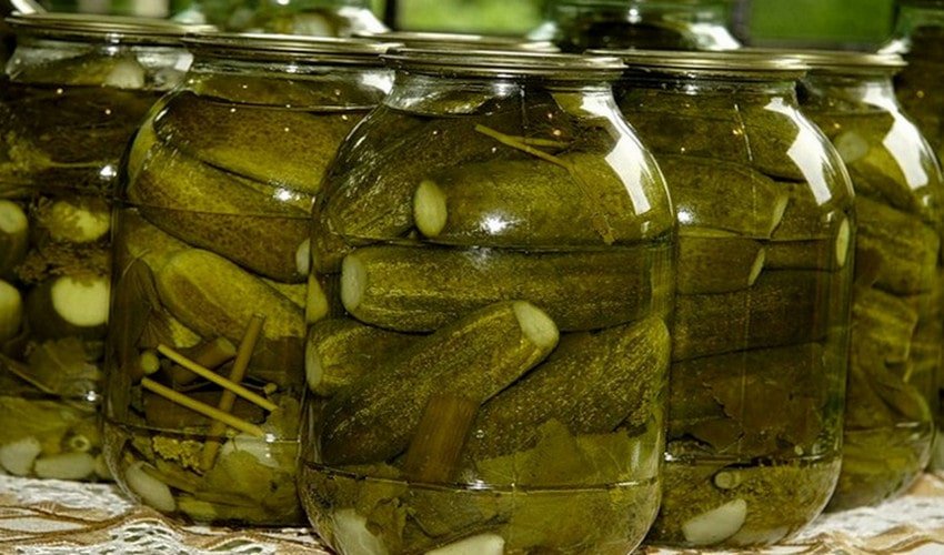 Квашені огірки Квашені огірки