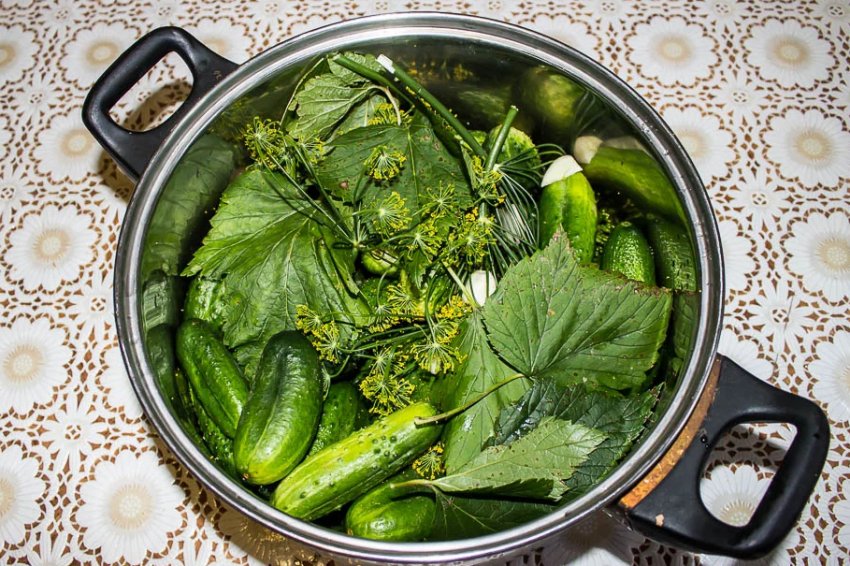 Малосольні огірки як «бочкові» Малосольні огірки як «бочкові»