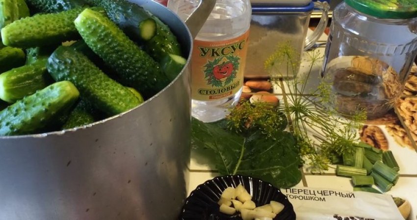 Маринованные корнишоны простой рецепт. 27046.phvur0.850. Маринованные корнишоны простой рецепт фото. Маринованные корнишоны простой рецепт-27046.phvur0.850. картинка Маринованные корнишоны простой рецепт. картинка 27046.phvur0.850. Осень — не только время сбора урожая, но и жаркая пора для хозяек, занимающихся заготовками. Варенья, соленья, овощи, салаты — все эти вкусности добавят в ежедневный рацион витамины и прочие полезные соединения, которых так не хватает в зимнее время.