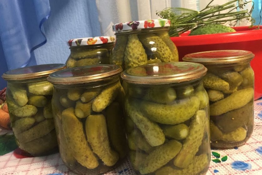 Корнишоны маринованные с корицей Корнишоны маринованные с корицей