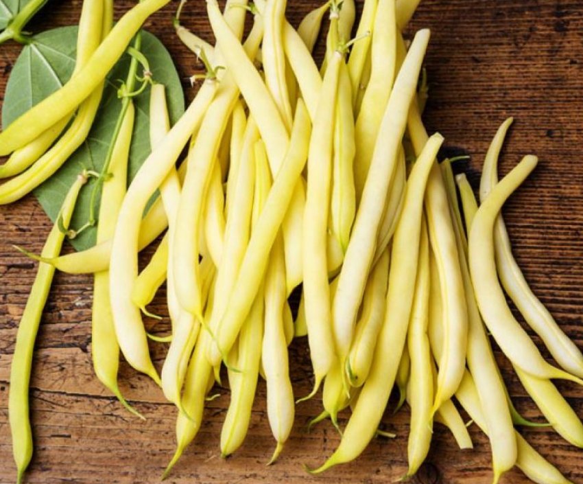 Золотий нектар