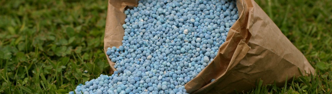 Українські вчені розробили «швидку допомогу» для кислих ґрунтів