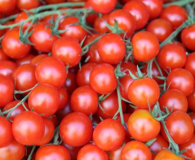 Японський робот зганьбився на грядках томатних