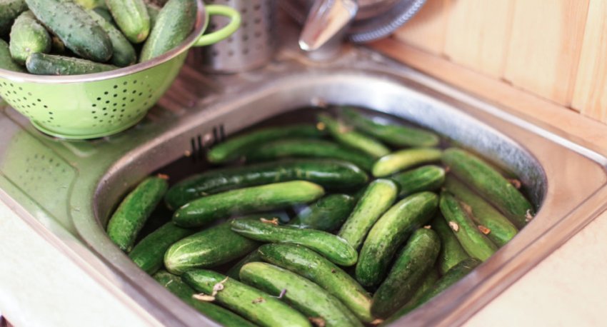 Підготовка огірків