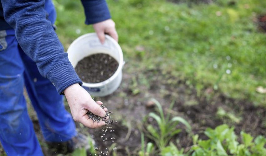 Підготовка грунту Підготовка грунту