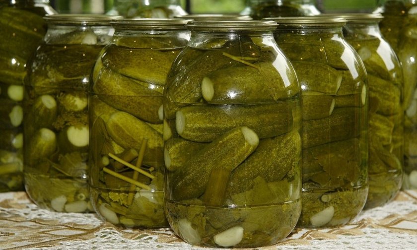 Солёные огурцы без уксуса Солёные огурцы без уксуса