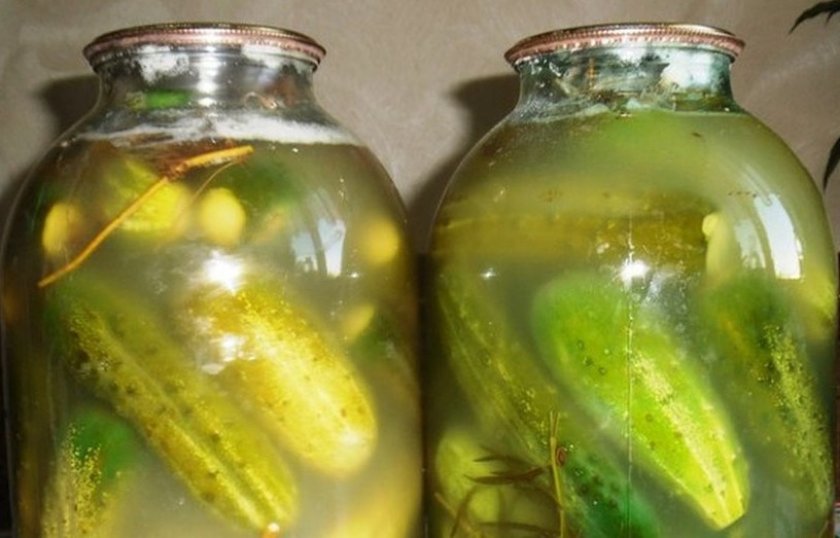 Солёные огурцы с горчицей Солёные огурцы с горчицей