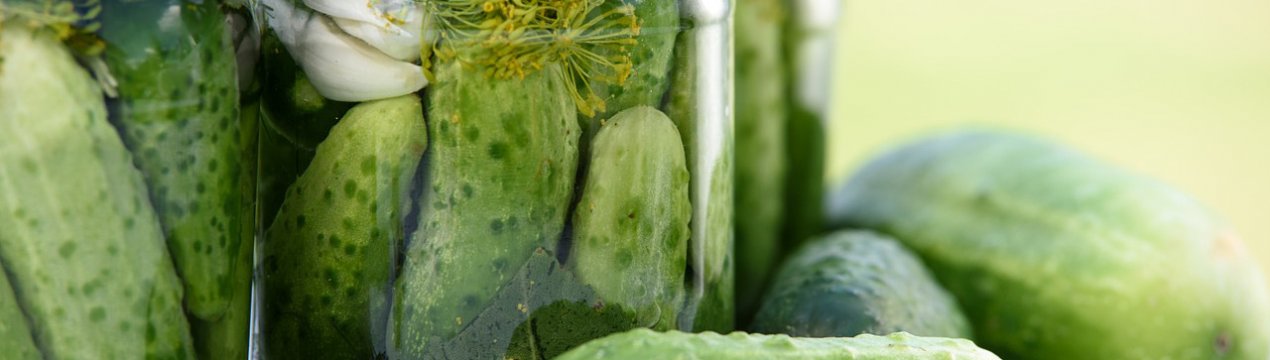 Засолювання хрумких огірків з горілкою на зиму
