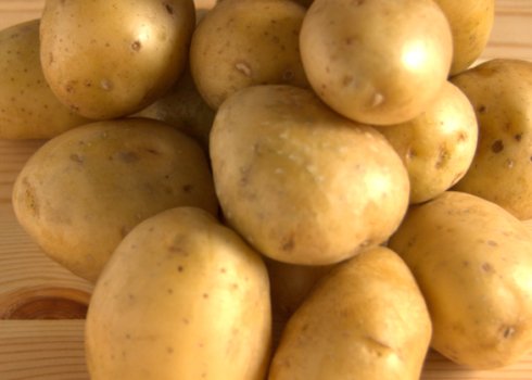Картопля Імпала: опис і особливості вирощування сорту