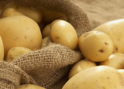 Картопля Рив'єра: опис та характеристика сорти, вирощування і догляд