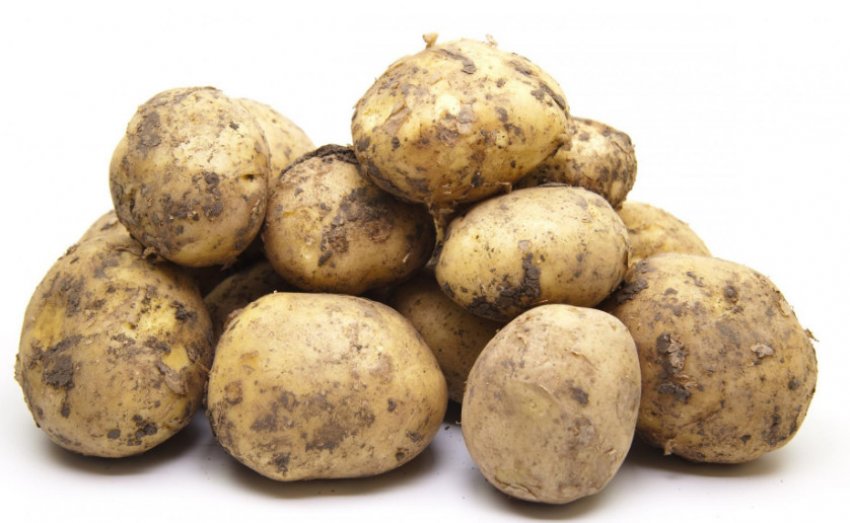 Картопля Рів'єра