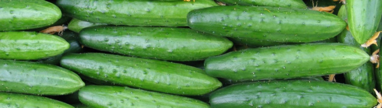 Засолювання огірків Зозуля на зиму