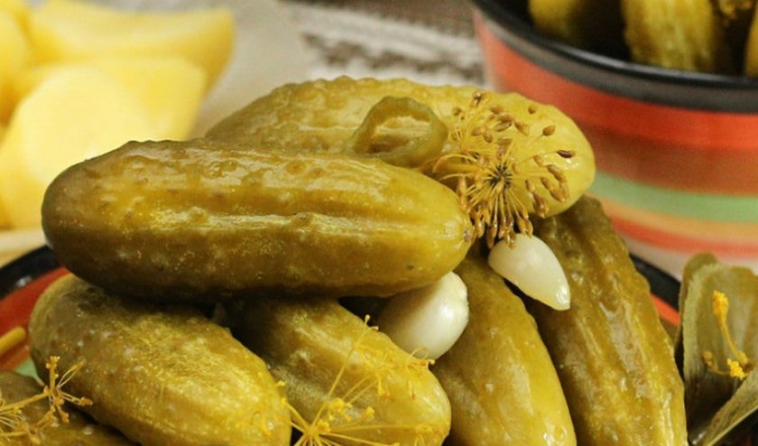 Засолка огурцов Зозуля Засолка огурцов Зозуля