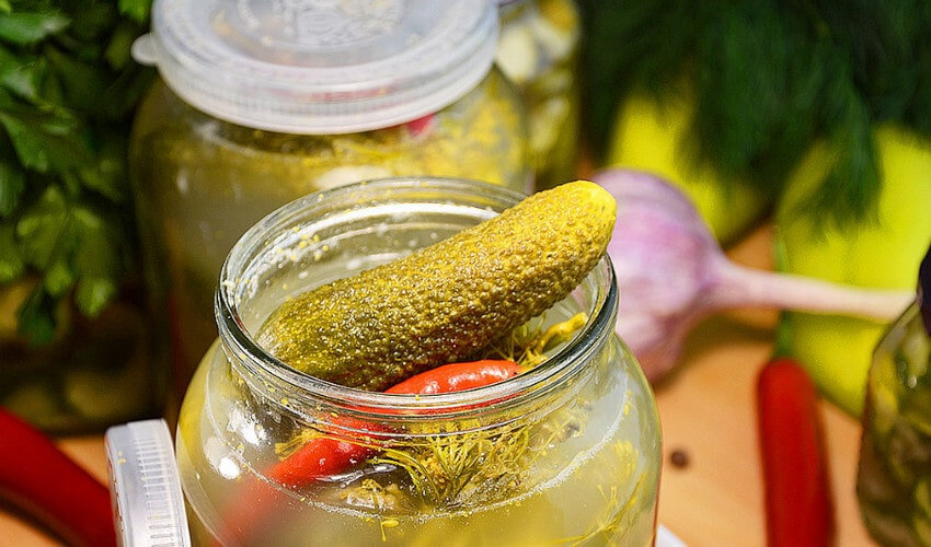 Засолювання огірків Зозуля Засолювання огірків Зозуля