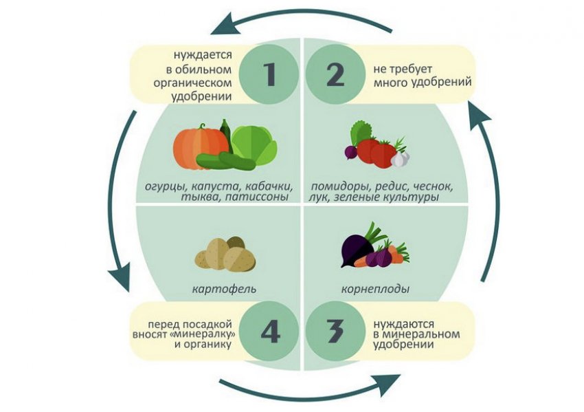 Правила сівозміни