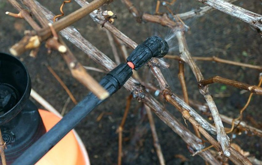 Терміни обробки