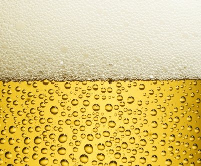 Пивний осад оголосив війну зухвалим дрозофилам