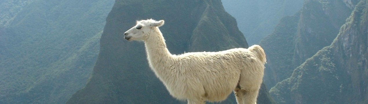 Тибетські лами допомагають людству перемогти грип