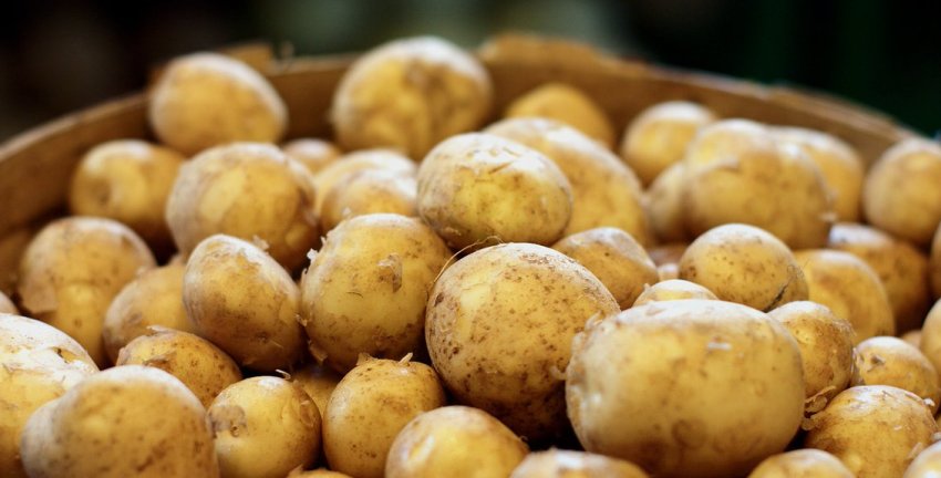 Вінета Вінета