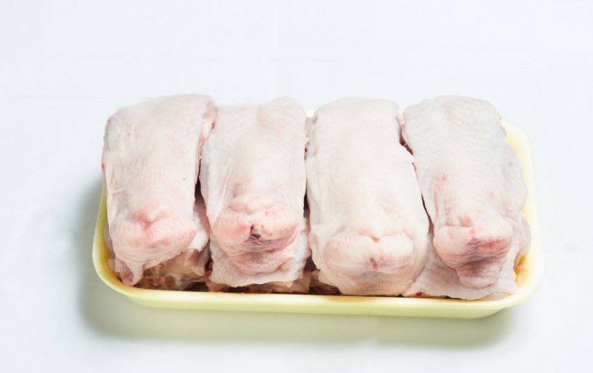 Спинка Спинка