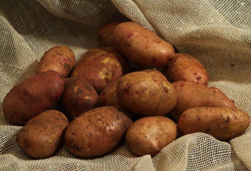 Бежицький Бежицький