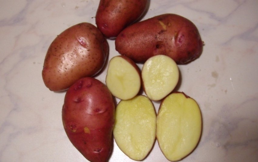 Спиридон Спиридон