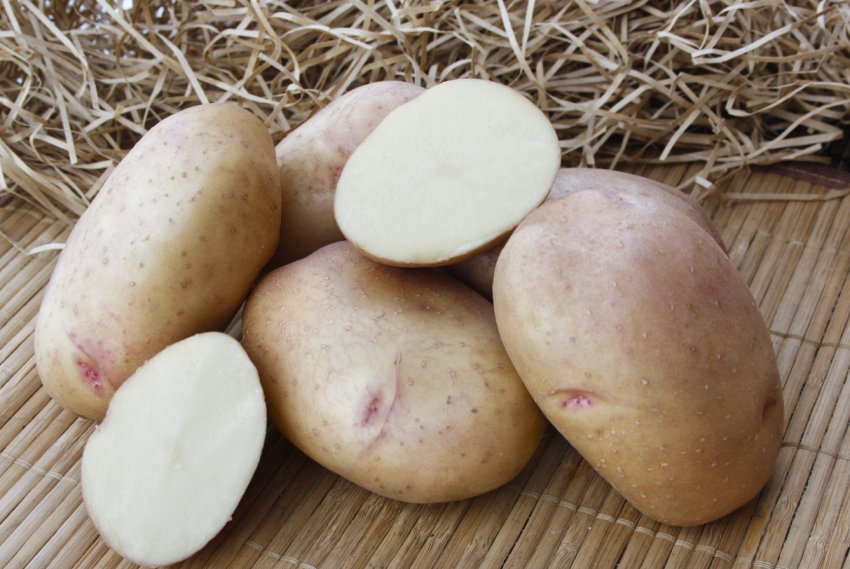 Альона Альона