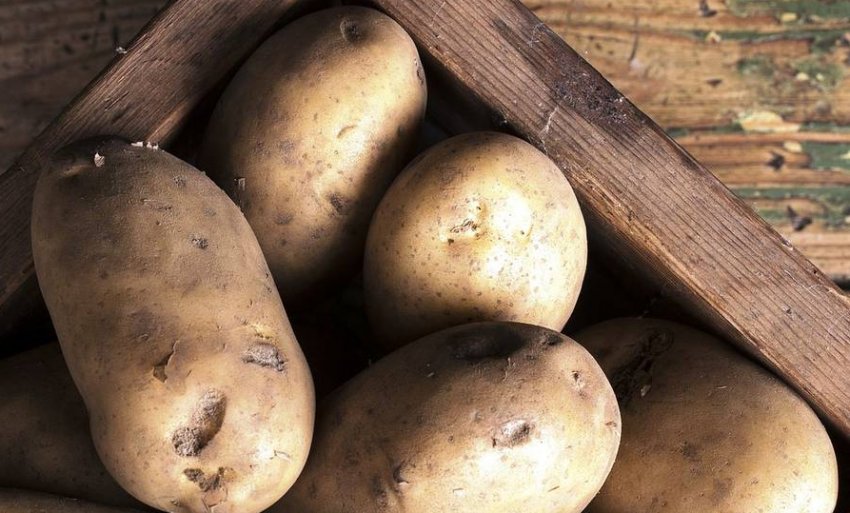 Оридежский Оридежский