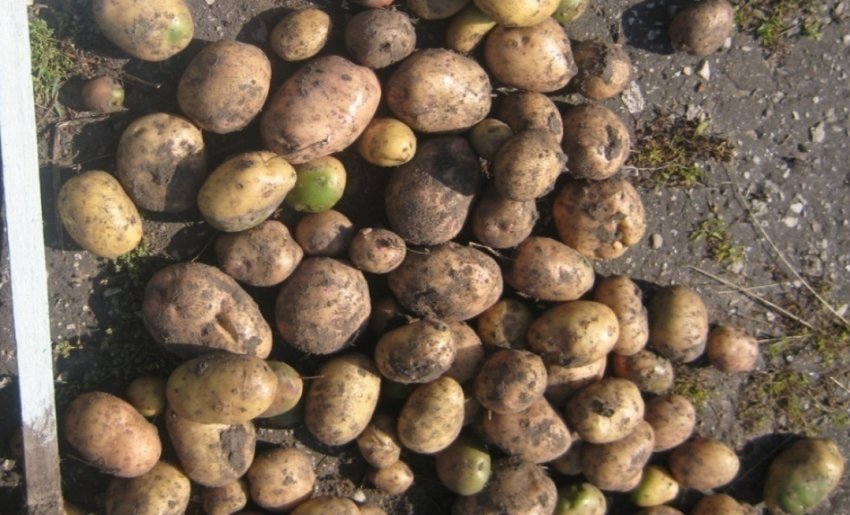 Луговський Луговський