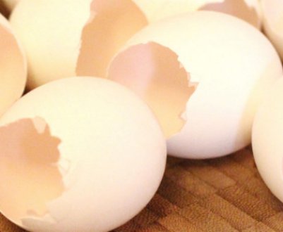 Яєчна шкаралупа: користь і шкоду для здоров'я людини