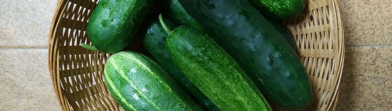 Маринуємо переросли огірки на зиму