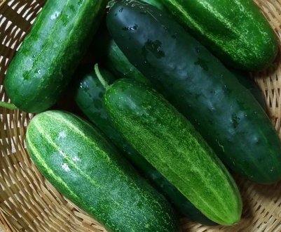 Маринуємо переросли огірки на зиму
