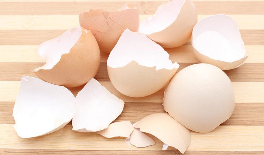 Куриные яйца польза для мужчин скорлупа thumbnail