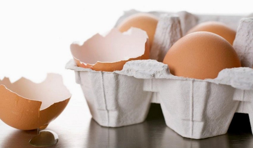 Скорлупа яиц детям польза и вред thumbnail